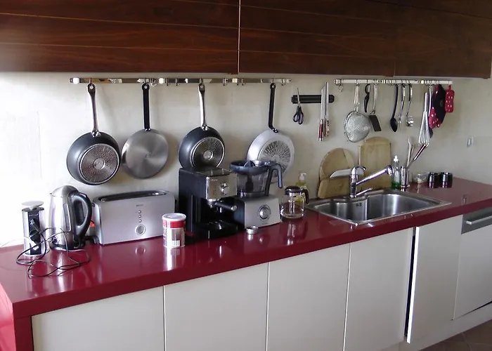 Луксозна вила Budzhaka *